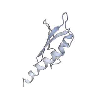 31007_7e81_Dk_v1-3
Cryo-EM structure of the flagellar MS ring with FlgB-Dc loop and FliE-helix 1 from Salmonella