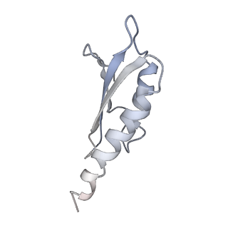 31007_7e81_Dl_v1-2
Cryo-EM structure of the flagellar MS ring with FlgB-Dc loop and FliE-helix 1 from Salmonella