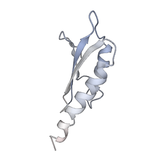 31007_7e81_Dl_v1-3
Cryo-EM structure of the flagellar MS ring with FlgB-Dc loop and FliE-helix 1 from Salmonella