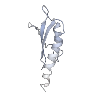 31007_7e81_Dm_v1-2
Cryo-EM structure of the flagellar MS ring with FlgB-Dc loop and FliE-helix 1 from Salmonella