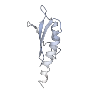 31007_7e81_Dm_v1-3
Cryo-EM structure of the flagellar MS ring with FlgB-Dc loop and FliE-helix 1 from Salmonella