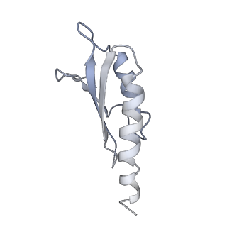 31007_7e81_Dn_v1-2
Cryo-EM structure of the flagellar MS ring with FlgB-Dc loop and FliE-helix 1 from Salmonella