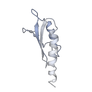 31007_7e81_Dn_v1-3
Cryo-EM structure of the flagellar MS ring with FlgB-Dc loop and FliE-helix 1 from Salmonella