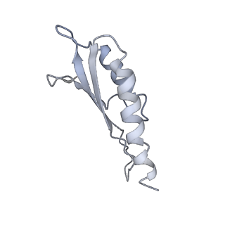 31007_7e81_Do_v1-2
Cryo-EM structure of the flagellar MS ring with FlgB-Dc loop and FliE-helix 1 from Salmonella