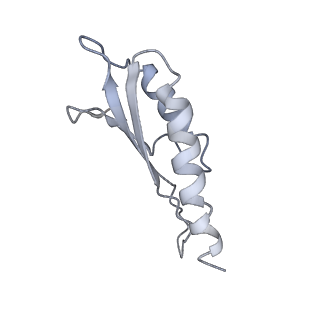 31007_7e81_Do_v1-3
Cryo-EM structure of the flagellar MS ring with FlgB-Dc loop and FliE-helix 1 from Salmonella