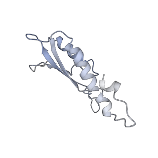 31007_7e81_Dp_v1-2
Cryo-EM structure of the flagellar MS ring with FlgB-Dc loop and FliE-helix 1 from Salmonella