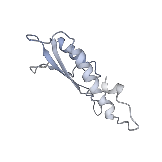 31007_7e81_Dp_v1-3
Cryo-EM structure of the flagellar MS ring with FlgB-Dc loop and FliE-helix 1 from Salmonella