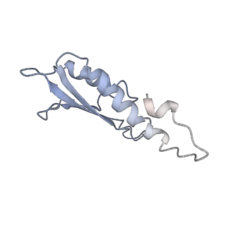 31007_7e81_Dq_v1-2
Cryo-EM structure of the flagellar MS ring with FlgB-Dc loop and FliE-helix 1 from Salmonella