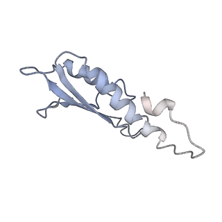 31007_7e81_Dq_v1-3
Cryo-EM structure of the flagellar MS ring with FlgB-Dc loop and FliE-helix 1 from Salmonella