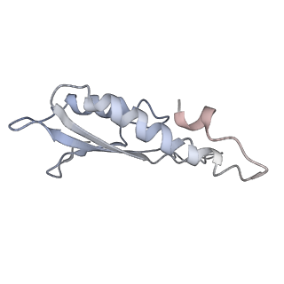 31007_7e81_Dr_v1-2
Cryo-EM structure of the flagellar MS ring with FlgB-Dc loop and FliE-helix 1 from Salmonella