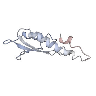 31007_7e81_Dr_v1-3
Cryo-EM structure of the flagellar MS ring with FlgB-Dc loop and FliE-helix 1 from Salmonella