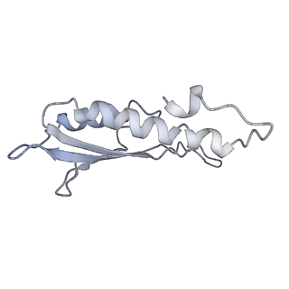 31007_7e81_Ds_v1-2
Cryo-EM structure of the flagellar MS ring with FlgB-Dc loop and FliE-helix 1 from Salmonella