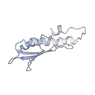 31007_7e81_Dt_v1-2
Cryo-EM structure of the flagellar MS ring with FlgB-Dc loop and FliE-helix 1 from Salmonella