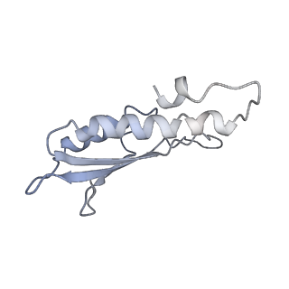 31007_7e81_Dt_v1-3
Cryo-EM structure of the flagellar MS ring with FlgB-Dc loop and FliE-helix 1 from Salmonella