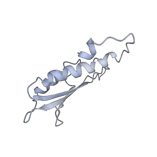 31007_7e81_Du_v1-2
Cryo-EM structure of the flagellar MS ring with FlgB-Dc loop and FliE-helix 1 from Salmonella