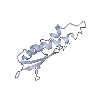 31007_7e81_Du_v1-3
Cryo-EM structure of the flagellar MS ring with FlgB-Dc loop and FliE-helix 1 from Salmonella