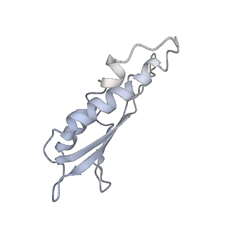 31007_7e81_Dv_v1-2
Cryo-EM structure of the flagellar MS ring with FlgB-Dc loop and FliE-helix 1 from Salmonella