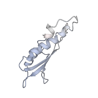 31007_7e81_Dv_v1-3
Cryo-EM structure of the flagellar MS ring with FlgB-Dc loop and FliE-helix 1 from Salmonella