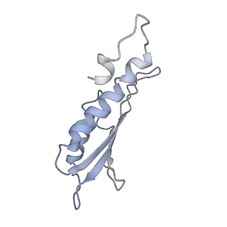 31007_7e81_Dw_v1-2
Cryo-EM structure of the flagellar MS ring with FlgB-Dc loop and FliE-helix 1 from Salmonella