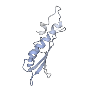 31007_7e81_Dw_v1-3
Cryo-EM structure of the flagellar MS ring with FlgB-Dc loop and FliE-helix 1 from Salmonella