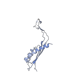 31007_7e81_Ea_v1-2
Cryo-EM structure of the flagellar MS ring with FlgB-Dc loop and FliE-helix 1 from Salmonella