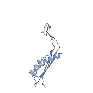 31007_7e81_Ea_v1-3
Cryo-EM structure of the flagellar MS ring with FlgB-Dc loop and FliE-helix 1 from Salmonella