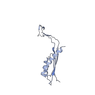 31007_7e81_Eb_v1-2
Cryo-EM structure of the flagellar MS ring with FlgB-Dc loop and FliE-helix 1 from Salmonella