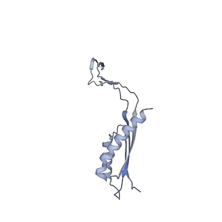 31007_7e81_Eb_v1-3
Cryo-EM structure of the flagellar MS ring with FlgB-Dc loop and FliE-helix 1 from Salmonella