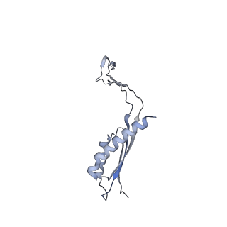 31007_7e81_Ec_v1-3
Cryo-EM structure of the flagellar MS ring with FlgB-Dc loop and FliE-helix 1 from Salmonella