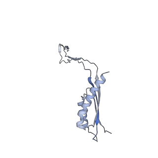 31007_7e81_Ed_v1-3
Cryo-EM structure of the flagellar MS ring with FlgB-Dc loop and FliE-helix 1 from Salmonella