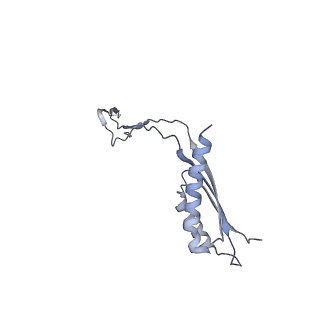 31007_7e81_Ef_v1-2
Cryo-EM structure of the flagellar MS ring with FlgB-Dc loop and FliE-helix 1 from Salmonella