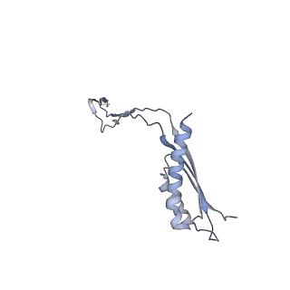 31007_7e81_Ef_v1-3
Cryo-EM structure of the flagellar MS ring with FlgB-Dc loop and FliE-helix 1 from Salmonella