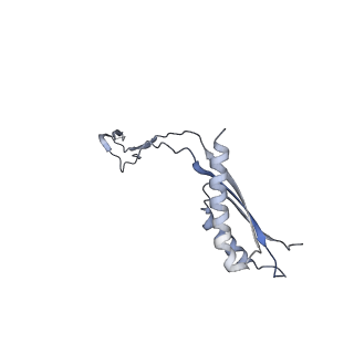 31007_7e81_Eg_v1-2
Cryo-EM structure of the flagellar MS ring with FlgB-Dc loop and FliE-helix 1 from Salmonella