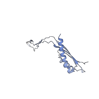 31007_7e81_Fh_v1-2
Cryo-EM structure of the flagellar MS ring with FlgB-Dc loop and FliE-helix 1 from Salmonella