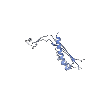 31007_7e81_Fh_v1-3
Cryo-EM structure of the flagellar MS ring with FlgB-Dc loop and FliE-helix 1 from Salmonella