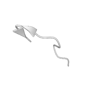 31007_7e81_GC_v1-3
Cryo-EM structure of the flagellar MS ring with FlgB-Dc loop and FliE-helix 1 from Salmonella