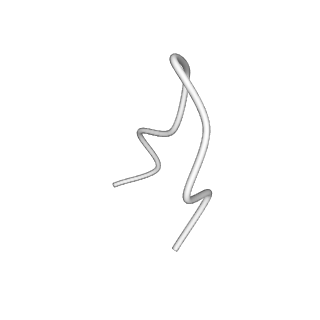 31007_7e81_GD_v1-3
Cryo-EM structure of the flagellar MS ring with FlgB-Dc loop and FliE-helix 1 from Salmonella