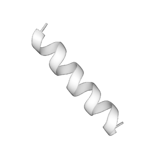 31007_7e81_GG_v1-3
Cryo-EM structure of the flagellar MS ring with FlgB-Dc loop and FliE-helix 1 from Salmonella