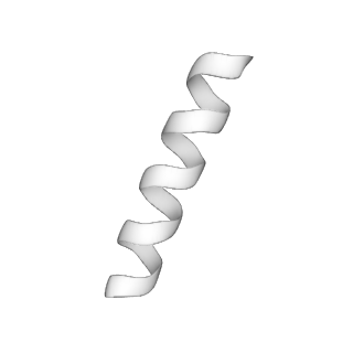 31007_7e81_GH_v1-3
Cryo-EM structure of the flagellar MS ring with FlgB-Dc loop and FliE-helix 1 from Salmonella