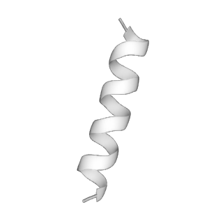 31007_7e81_GJ_v1-2
Cryo-EM structure of the flagellar MS ring with FlgB-Dc loop and FliE-helix 1 from Salmonella