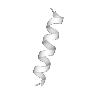 31007_7e81_GJ_v1-3
Cryo-EM structure of the flagellar MS ring with FlgB-Dc loop and FliE-helix 1 from Salmonella