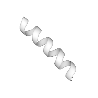 31007_7e81_GK_v1-3
Cryo-EM structure of the flagellar MS ring with FlgB-Dc loop and FliE-helix 1 from Salmonella