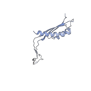 31007_7e81_cg_v1-3
Cryo-EM structure of the flagellar MS ring with FlgB-Dc loop and FliE-helix 1 from Salmonella