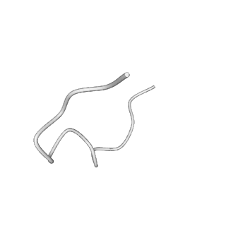 31008_7e82_4_v1-3
Cryo-EM structure of the flagellar rod with partial hook from Salmonella