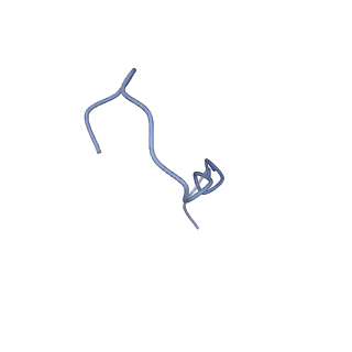 31008_7e82_5_v1-2
Cryo-EM structure of the flagellar rod with partial hook from Salmonella