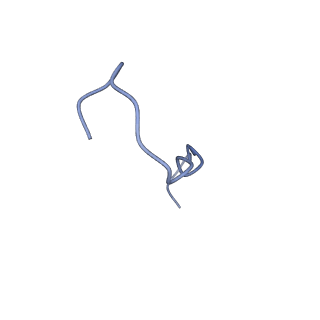 31008_7e82_5_v1-3
Cryo-EM structure of the flagellar rod with partial hook from Salmonella