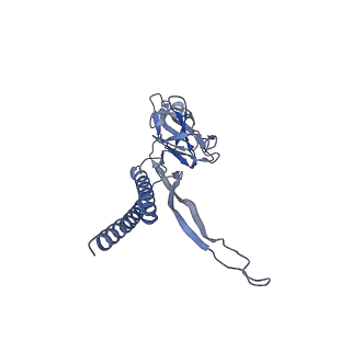 31008_7e82_B_v1-2
Cryo-EM structure of the flagellar rod with partial hook from Salmonella