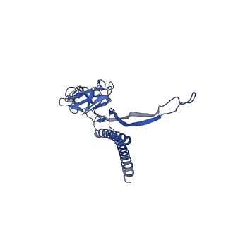 31008_7e82_C_v1-2
Cryo-EM structure of the flagellar rod with partial hook from Salmonella