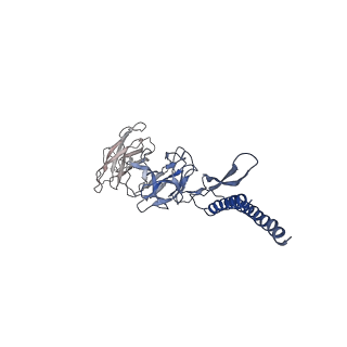 31008_7e82_DD_v1-2
Cryo-EM structure of the flagellar rod with partial hook from Salmonella