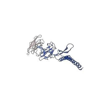 31008_7e82_DD_v1-3
Cryo-EM structure of the flagellar rod with partial hook from Salmonella